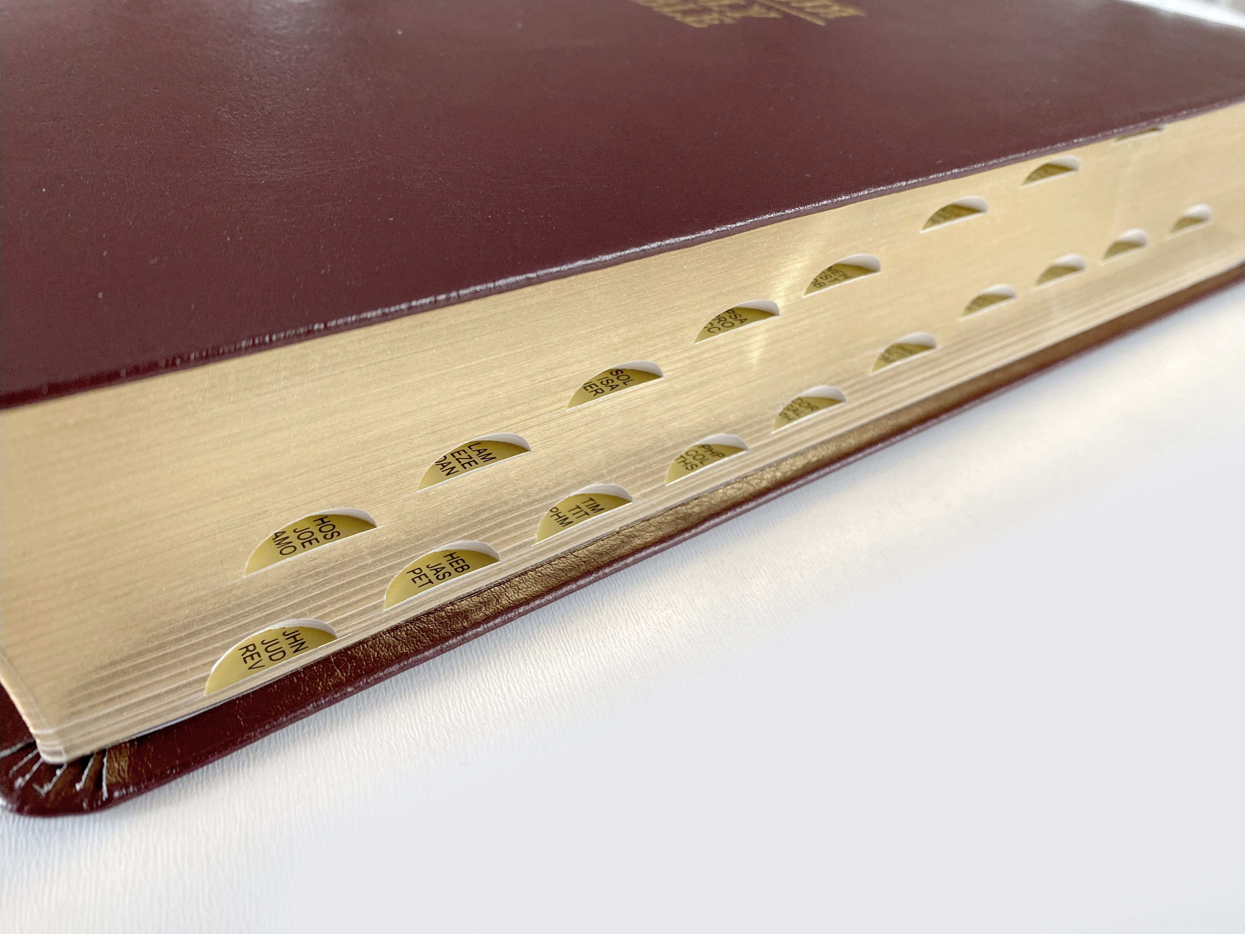 Alternative view of БІБЛІЯ/HOLY BIBLE, 17х24 см.