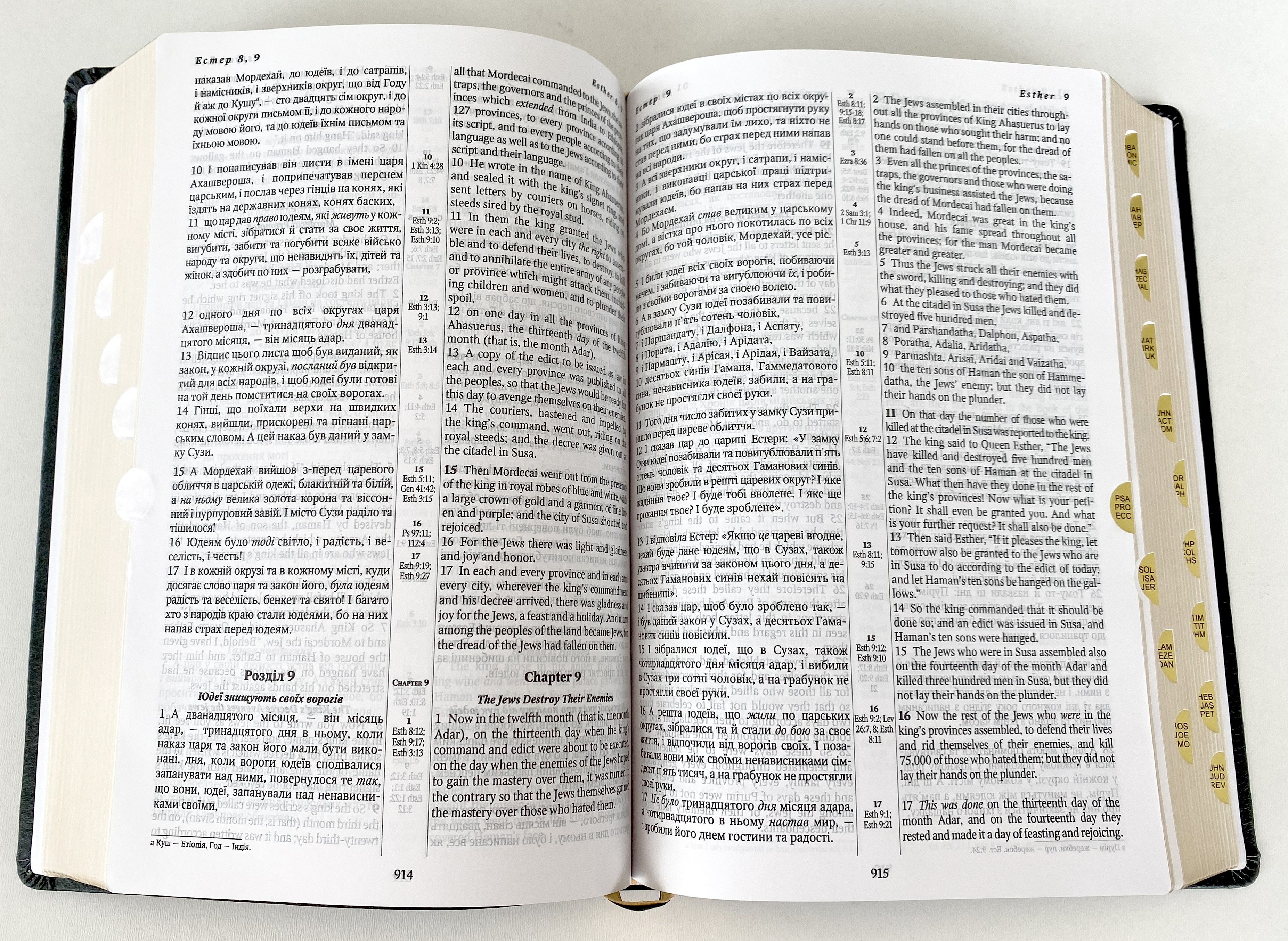Alternative view of БІБЛІЯ/HOLY BIBLE, 17х24 см.